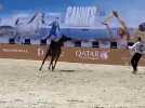 Les plus beaux et plus chers chevaux arabes sont à Cannes jusqu'à dimanche