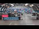 Championnat de France des gymnastiques à Rennes : qu'est-ce que le parkour ?