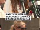 Harvey Weinstein de nouveau coupable d'agression sexuelle