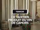Ce Tahitien produit du vin de Cahors