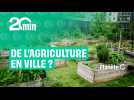 Planète C - Pariculteurs version clean