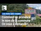 On dit je vais à Les Rues-des-Vignes ou aux Rues-des-Vignes ?