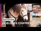Le bien être équestre en quelques chiffres