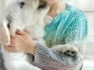 Quel budget prévoir avant d'adopter un animal de compagnie?