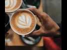 Réchauffement climatique, hausse de la demande... Pourquoi les prix du café s'envolent-ils ?