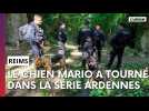 Du refuge de Reims aux projecteurs : le fabuleux destin du chien Mario, en tournage avec David Hallyday