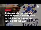VIDEO. Chômage : le nombre de demandeurs d'emploi sans activité est en baisse en mai, à 3,21 millions