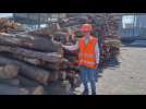 Picardie Granulation lancera la production de pellets domestiques dans son usine de Chaulnes (Somme) au second semestre 2025