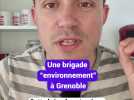 À quoi va servir la brigade environnement en test dans la métropole de Grenoble ?