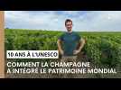 Comment la fièvre Unesco a gagné la Champagne viticole ?