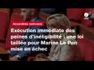 VIDEO. Exécution immédiate des peines d'inéligibilité : une loi taillée pour Marine Le Pen mise en échec