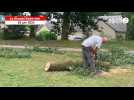 VIDÉO. Orages en Mayenne : trois personnes sinistrées au Genest-Saint-Isle