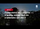 VIDEO. Caniculaire ou « pourrie » : à quelle météo doit-on s'attendre cet été ?