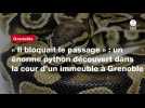 VIDÉO. « Il bloquait le passage » : un énorme python découvert dans la cour d'un immeuble à Grenoble
