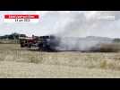 VIDEO. Une moissonneuse-batteuse ravagée par les flammes en plein champ : les pompiers interviennent