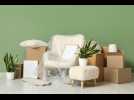 Location de mobilier et de décoration pour la maison : quel intérêt pour les particuliers ?