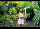 Comment faire une culture en terrasse?