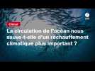 VIDEO. Climat. La circulation de l'océan nous sauve-t-elle d'un réchauffement climatique plus important ?