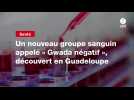 VIDEO. Un nouveau groupe sanguin appelé « Gwada négatif », découvert en Guadeloupe