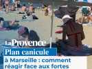 Plan canicule à Marseille : comment réagir face aux fortes chaleurs ?