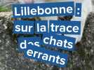 Lillebonne : sur la trace des chats errants avec les trappeurs du Clan des Félins