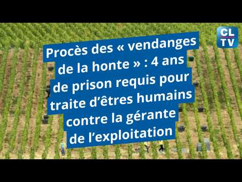 Procès des « vendanges de la honte » : 4 ans de prison requis pour ...