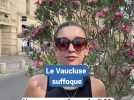 Fortes chaleurs : le Vaucluse suffoque