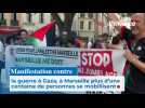 Manifestation contre la guerre à Gaza, à Marseille plus d'une centaine de personnes se mobillisent