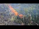 Incendie sur un terril à Charleroi, 21 juin 2025