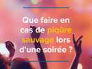 Que faire en cas de piqûre sauvage lors d'une soirée ?