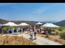 Les Caminades : une balade gourmande à la découverte des crus du Roussillon
