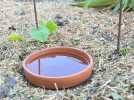 4 équipements pour faire des économies d'eau au jardin