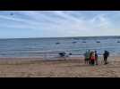 VIDÉO. Un avion se pose en catastrophe sur la plage de Batz-sur-Mer et blesse gravement un homme
