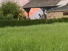 Audruicq : un hangar agricole en feu