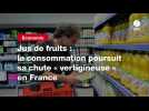 VIDEO. Jus de fruits : la consommation poursuit sa chute « vertigineuse » en France