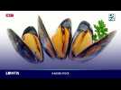 Dans le Rétro - Les Moules Frites sont déjà de retour