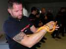 Gestion des reptiles : comment les pompiers de l'Eure adaptent leurs interventions