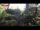 VIDÉO. Trail de Guerlédan : Benjamin Martinez et Margaux Guillaume en tête à mi-parcours