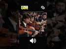 Les réseaux sociaux fonctionnent comme la musique classique ? #shorts