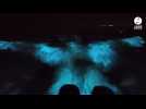 VIDÉO. Le phénomène de bioluminescence en baie du Pouliguen