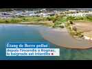 Étang de Berre pollué depuis l'incendie à Rognac, la baignade est interdite