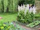 Le jardin naturel de Clémentine et Jérémy à Parpeville s'est dévoilé ce dimanche