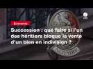VIDEO. Succession : que faire si l'un des héritiers bloque la vente d'un bien en indivision ?