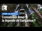 La légende de Gargantua en forêt de Mormal