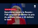 VIDEO. Sanctions contre la Russie : l'UE propose de limiter le prix du pétrole russe à 45 dollars le baril