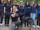 Le chien abandonné avec un collier étrangleur et une muselière a été retrouvé