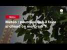 VIDEO. Météo : pourquoi va-t-il faire si chaud ce mercredi ?