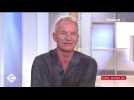 C à vous : l'hommage de Sting à David Lynch