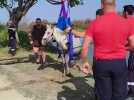 Un cheval de Camargue sauvé de la noyade dans un canal du Gard