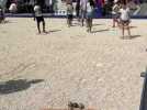 En images - 